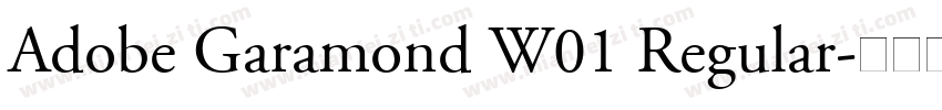 Adobe Garamond W01 Regular字体转换